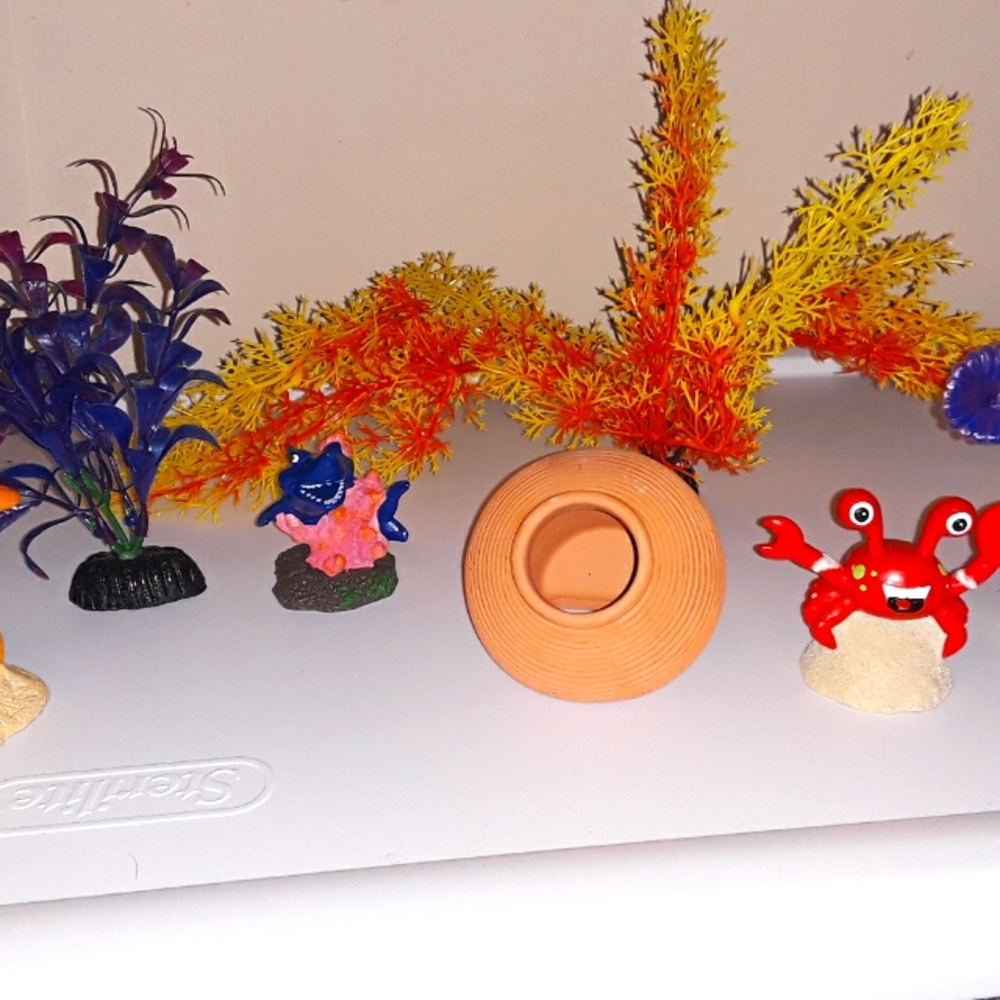 Fish tank decorations